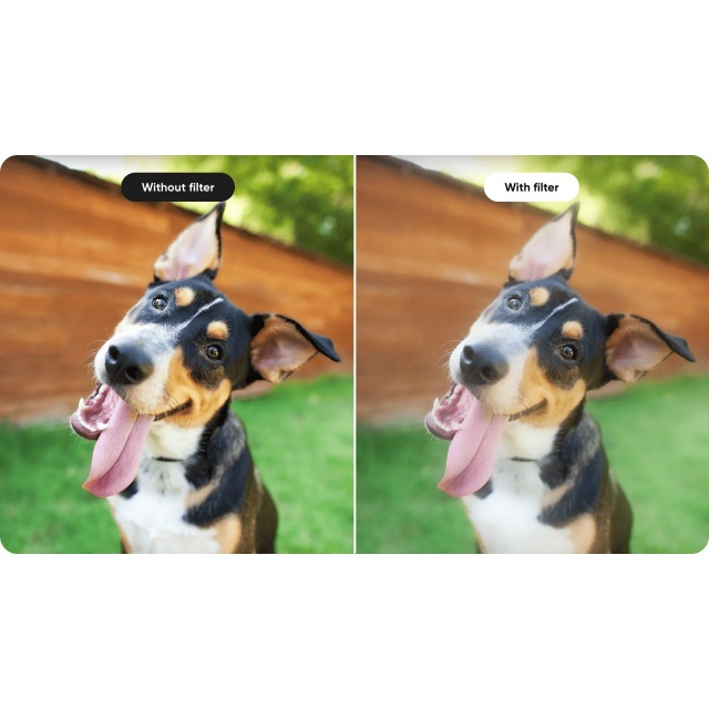 Insta360-CINSEBGA-01